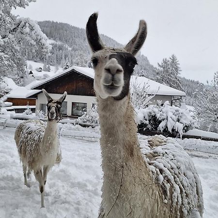 Gasthof Kirchmoar Sankt Blasen Buitenkant foto