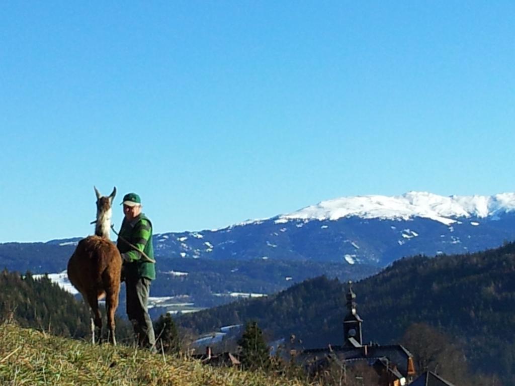 Gasthof Kirchmoar Sankt Blasen Buitenkant foto